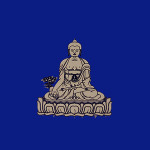 Medizinbuddha